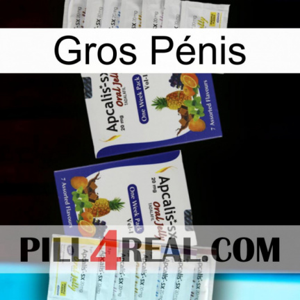 Gros Pénis 12